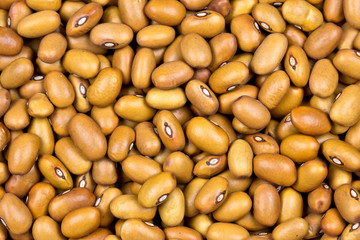 Brown beans for background