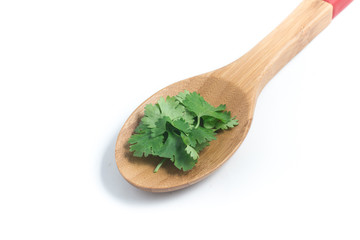 Fresh Coriander into a spoon