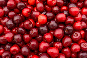 Sweet cherry background.  ripe cherries
