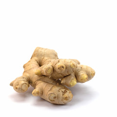 Ingwer, Zingiber officinale, Ingwerwurzel