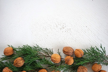 Fototapeta na wymiar Nuts and Christmas tree on the white background. Place for text