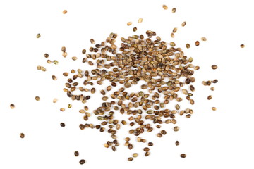 Hemp seeds isolated on white background