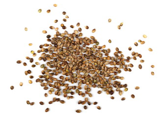 Hemp seeds isolated on white background