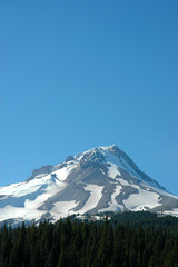 Beautiful View of Snow Covered Mount Hood Under a Clear Blue Sky in Oregon