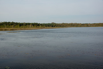 autumn over the lake