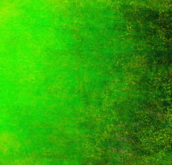 abstract green background or green paper