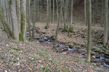 Mittelgebirgsbach