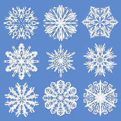Fototapeta premium Paper snowflakes. Set Vector illustration