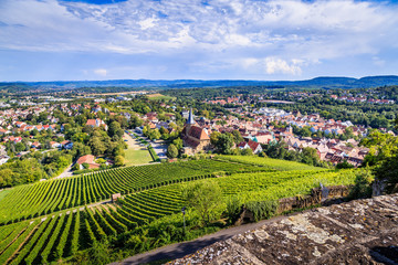 Weinanbau in weinsberg am Neckar wein reben