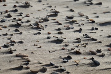 Wind-swept rocks with small dunes accumulating behind them. The power and dynamics of the wind and sand are accentuated by the cast of shadows of the edged stones.