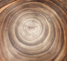 Fototapeta na wymiar wood