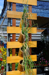 Flowers and small plants planting in plastic pots. It was hanged vertically as a vertical garden at Floria Garden, Putrayaja, Malaysia. 