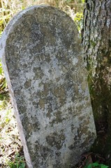 Old Grave in Woods