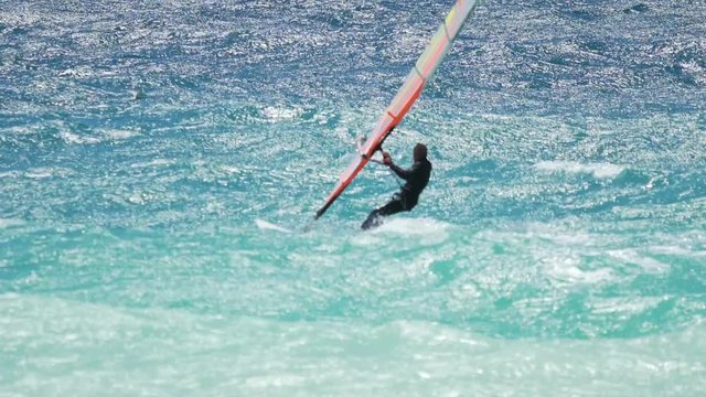 Windsurfer gliding on waves on a sunny summer day, professional sports, hobby