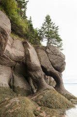 Hopewell Rocks - New Brunswick - Canada