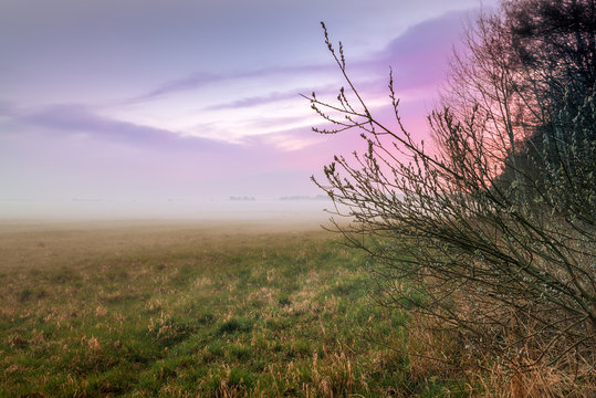 Foggy evening on the field with colorful sky. Sunset time.