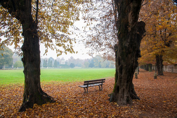 View of Querini park in Vicenza during fall