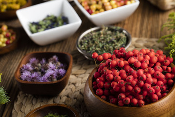 Assorted natural medical herbs and mortar