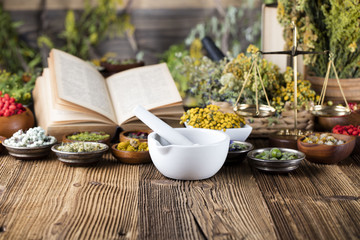 Assorted natural medical herbs and mortar