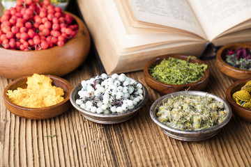 Assorted natural medical herbs and mortar