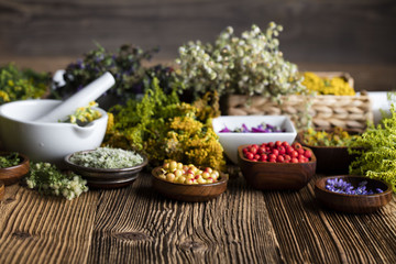 Assorted natural medical herbs and mortar