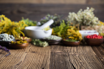 Assorted natural medical herbs and mortar