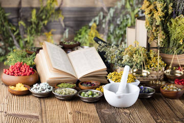 Assorted natural medical herbs and mortar