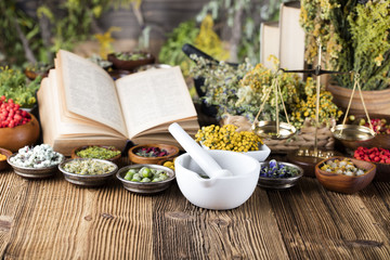 Assorted natural medical herbs and mortar