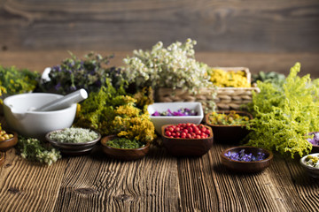 Assorted natural medical herbs and mortar