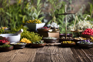 Assorted natural medical herbs and mortar