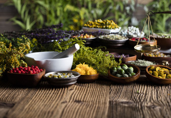 Assorted natural medical herbs and mortar