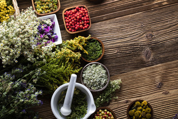 Assorted natural medical herbs and mortar