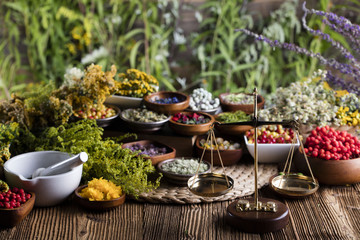 Assorted natural medical herbs and mortar