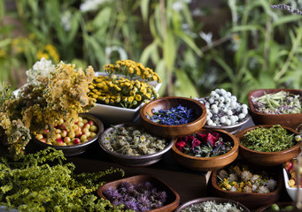 Assorted natural medical herbs and mortar
