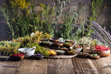 Assorted natural medical herbs and mortar