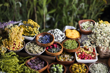 Assorted natural medical herbs and mortar