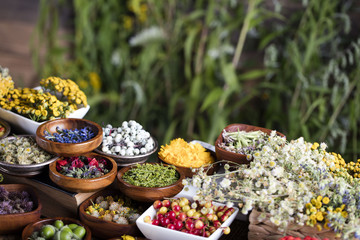 Assorted natural medical herbs and mortar