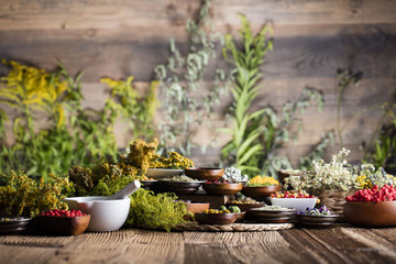 Assorted natural medical herbs and mortar