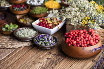 Assorted natural medical herbs and mortar