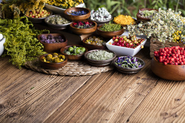 Assorted natural medical herbs and mortar