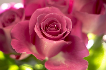 Blumen