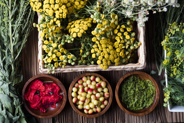 Assorted natural medical herbs and mortar