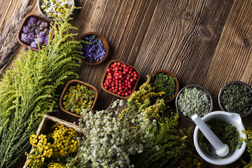Assorted natural medical herbs and mortar