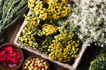 Assorted natural medical herbs and mortar