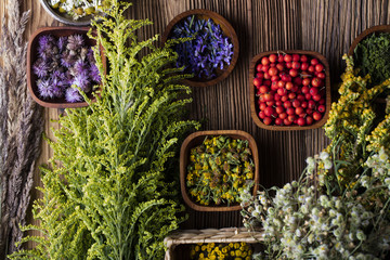 Assorted natural medical herbs and mortar