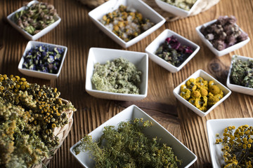 Assorted natural medical herbs and mortar