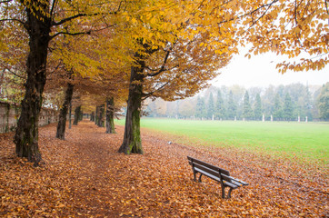 Obraz na płótnie Canvas View of Querini park in Vicenza during fall
