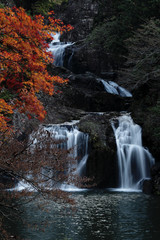 Fototapeta na wymiar waterfall / The autumn leaves and waterfall, there are extremely beautiful.