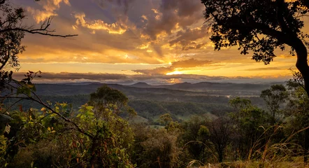 Poster de jardin Nature Coucher de soleil dans le parc national de Kondalilla. point de vue australien landsca