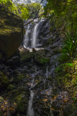 Fototapeta na wymiar Waterfall in Springbroo